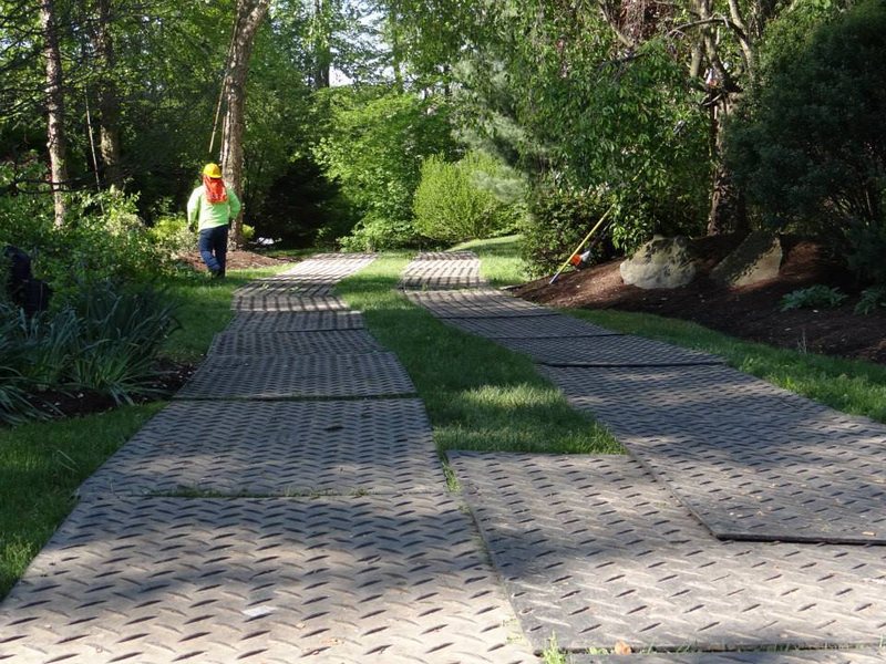 Arboriculture & Landscaping
